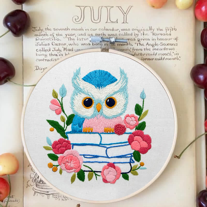 Rubbyoo Embroidery Kit - Owl Loves Reading - image 6