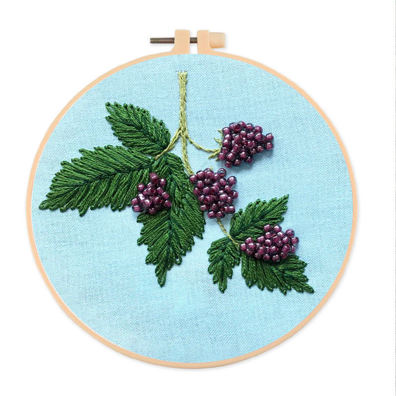 Rubbyoo Bead Embroidery Kit - Beaded Berries | Botanical Handmade Craft | Diy Decorative Artwork - 15cm*15cm - image 0