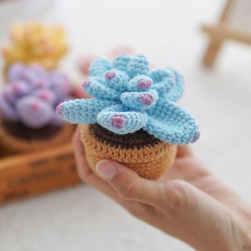 Diy Handmade Colourful Succulent Crochet Kit - Unique Window Decor | Perfect Gifts For Friends - blue - image 5