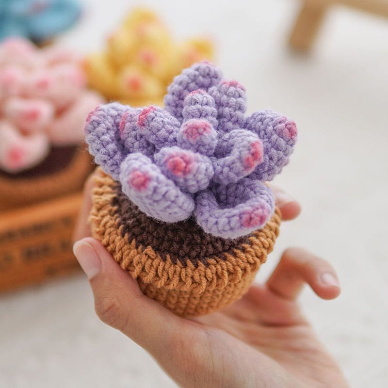 Diy Handmade Colourful Succulent Crochet Kit - Unique Window Decor | Perfect Gifts For Friends - Purple - image 4