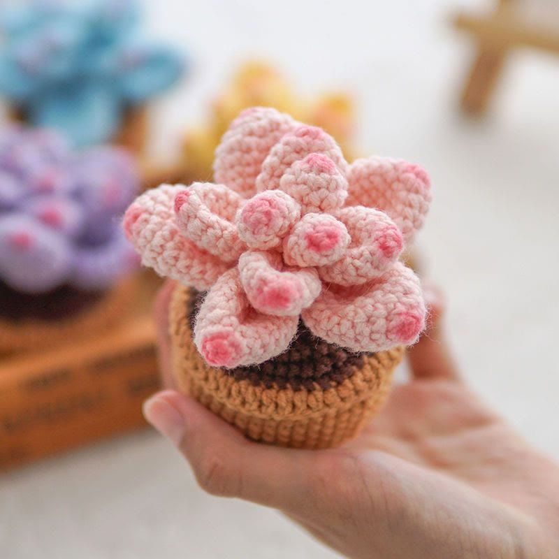 Diy Handmade Colourful Succulent Crochet Kit - Unique Window Decor | Perfect Gifts For Friends - pink - image 8