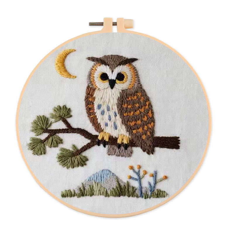 Rubbyoo Embroidery Kit - Little Owl | Simple Diy Craft | Heartfelt Handmade Present - 20*20cm - image 0